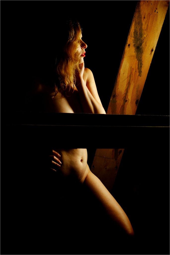 Indoor Nude — Aufnahme 9 von Marc Gotzel